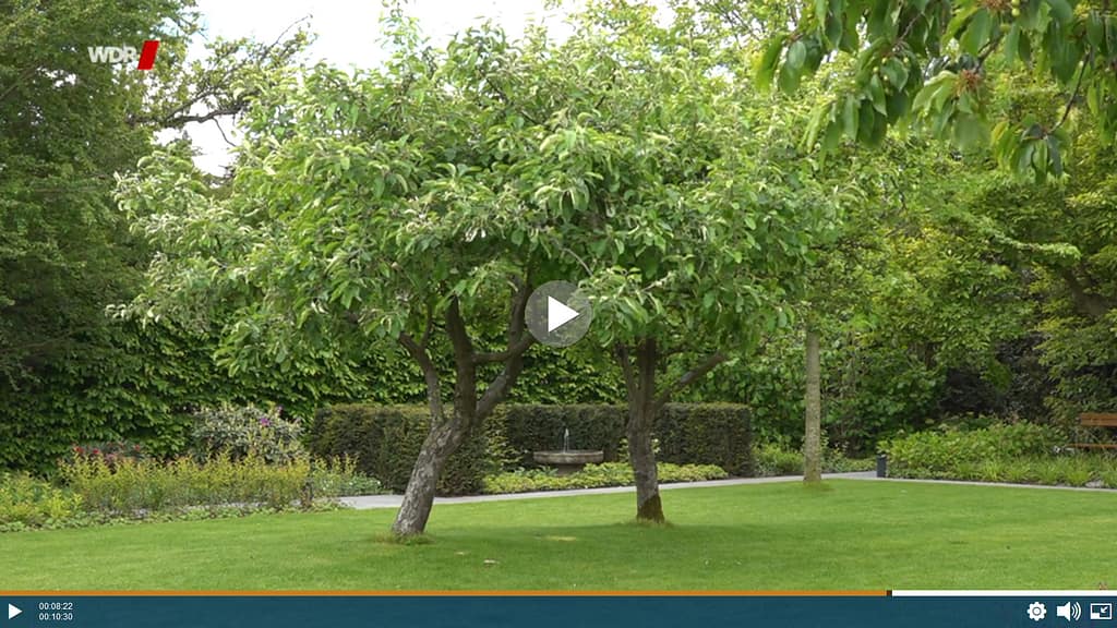 Gartenbrunnen St. Tropez - Screenshot