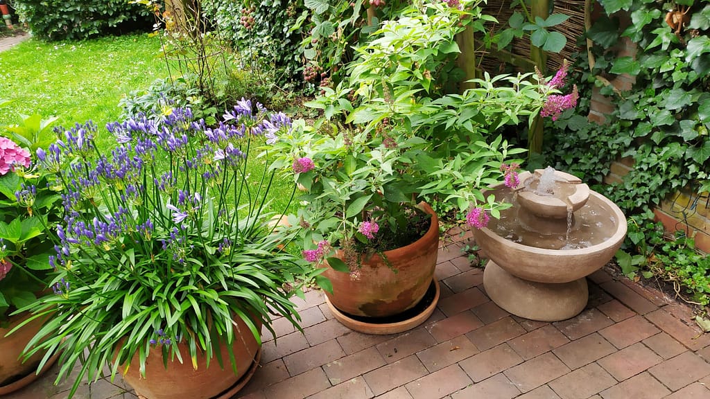 Henri-Studio-Brunnen Rubus