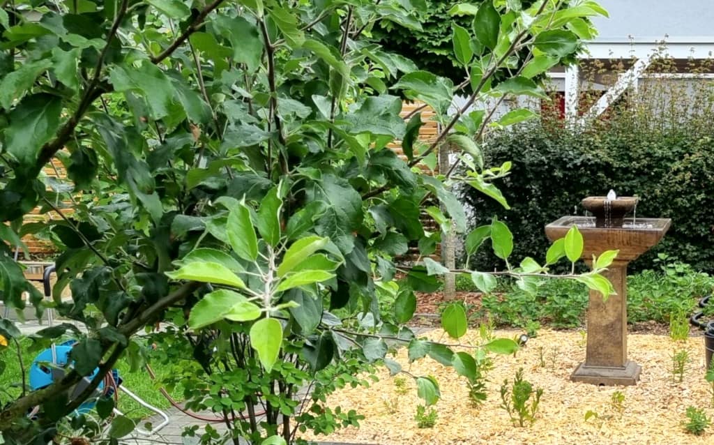 Blog Gartenbrunnen Kundenfotos
