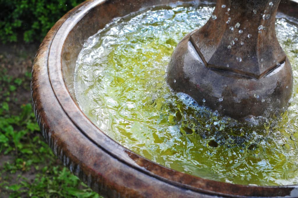 Springbrunnen Barrington Fountain