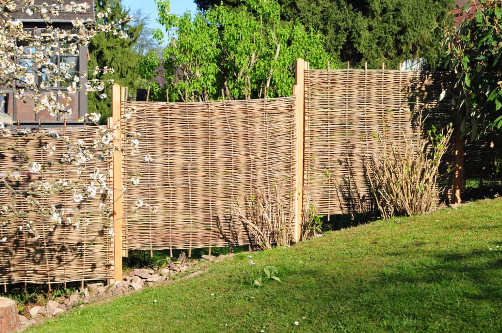 Weidenprofi Sichtschutz Robinie Stabil