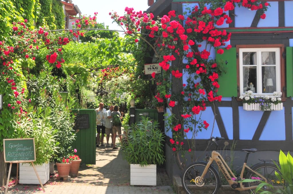 opengarden-rheinzabern-blick-eingang