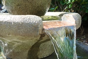 Image gallery image