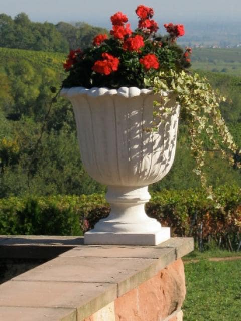 Kelchvase Pflanzgefäß 7416