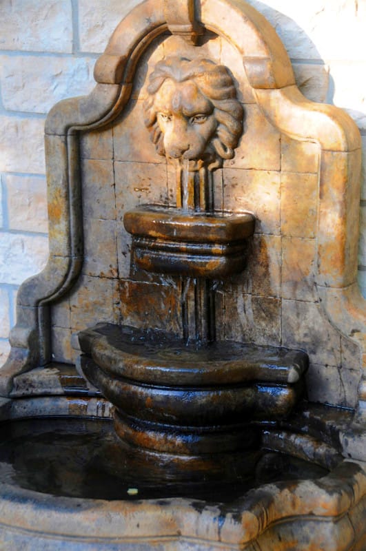 Löwenkopfbrunnen Henri Studio