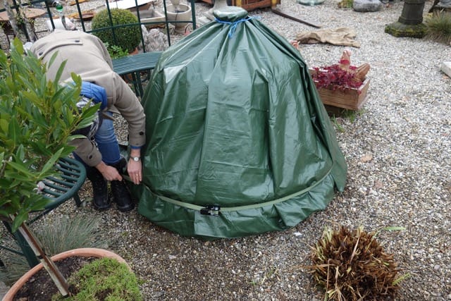Barrington Fountain winterfest