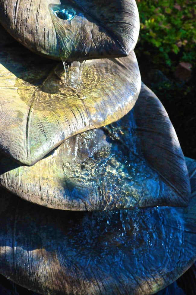 Brunnen mit Riesenblättern BR4949