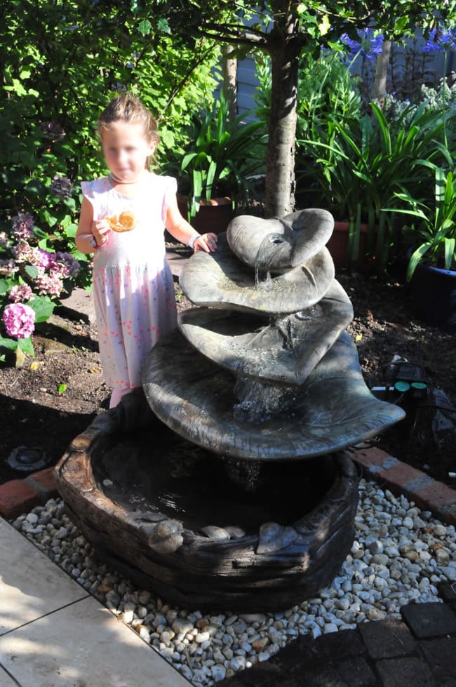 Brunnen mit Riesenblättern BR4949