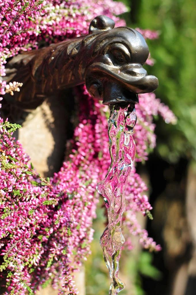 Wasserhahn Drachenkopf für Trogbrunnen