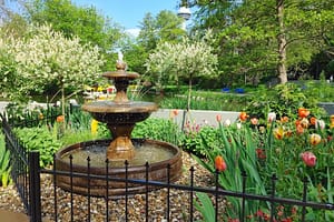 Springbrunnen Barrington Fountain I auf der BUGA 2023