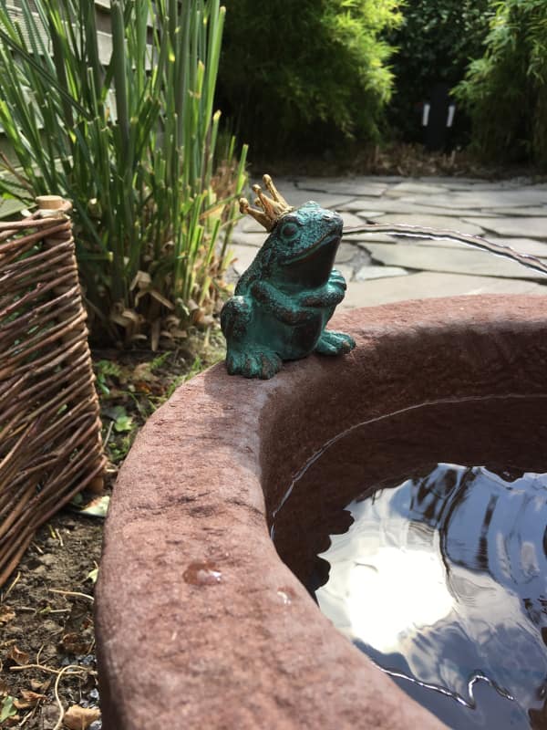 Trogbrunnen Froschkönig BR0032