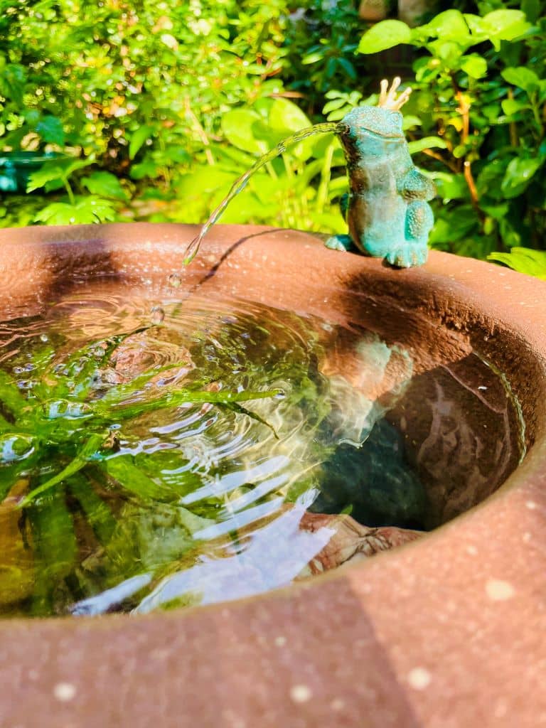 Trogbrunnen Froschkönig aus Sandstein Kundenbild